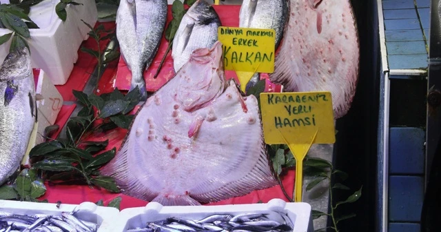 Rekor kırdı! Kalkan balığının fiyatı dudak uçuklatıyor