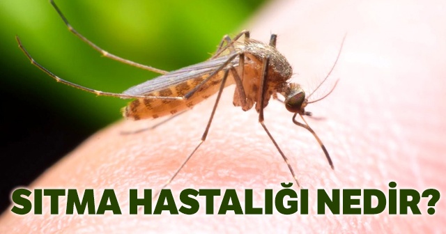 Sıtma (Malaria) hastalığı nedir? Sıtma hastalığı nasıl geçer? Henry Onyekuru hastalığı