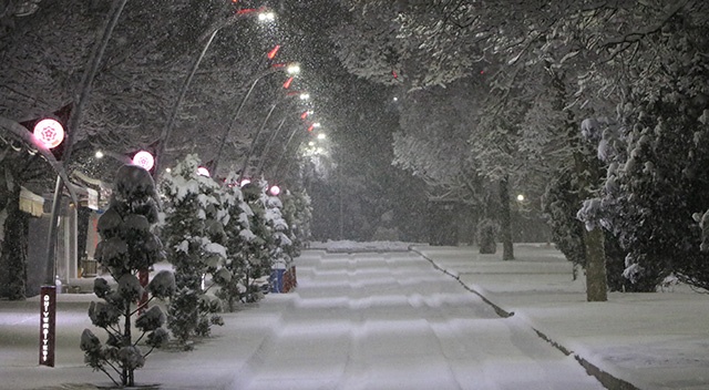Sivas&#039;ta kar yağışı kartpostallık görüntüler oluşturdu