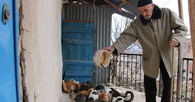 Tenceresi 10 yıldır kedi ve köpekleri için kaynıyor