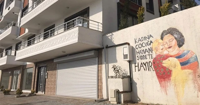 'Kadına, çocuğa ve hayvan şiddetine hayır' teması sokak duvarlarına işlendi