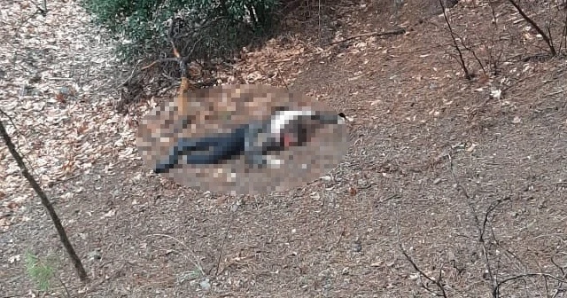 Başlık parasıyla evlendirildi, çocuklarının gözü önünde kafası taşla ezildi