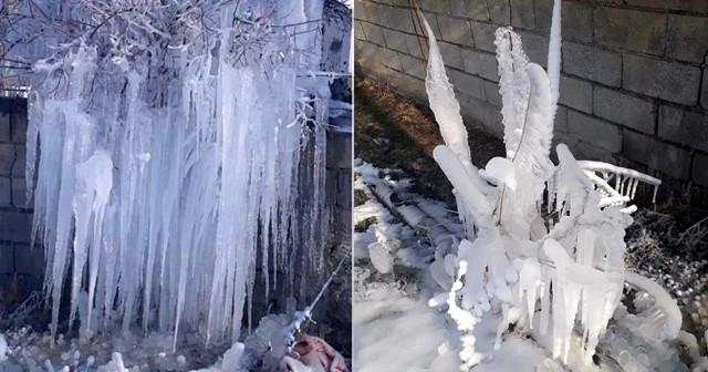 Buz tutan ağacı gören vatandaşlar şaşkınlığını gizleyemedi