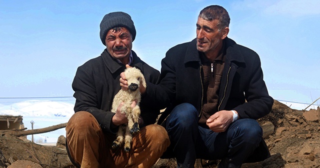 Depremde annesiz kalan kuzular için gözyaşı