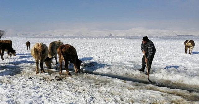 Göl yüzeyindeki buzu kırıp hayvanlarına su içiriyorlar