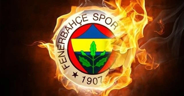 İşte Daum'un Fenerbahçe'ye önerdiği hoca
