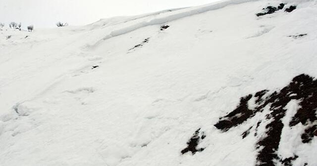 Meteoroloji&#039;den iki bölge için çığ uyarısı