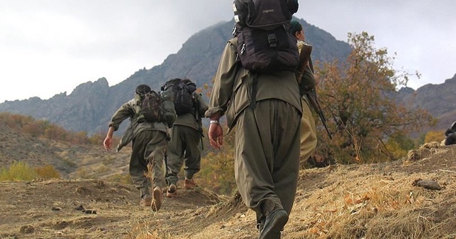 PKK'dan kaçışlar devam ediyor! 2 PKK/YPG’li terörist daha teslim oldu