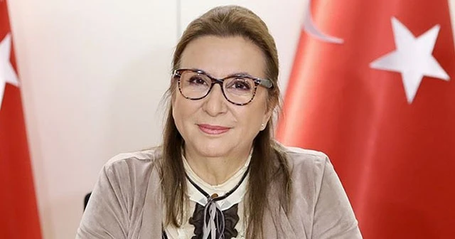 Ticaret Bakanı Pekcan açıkladı! Yasak getirildi