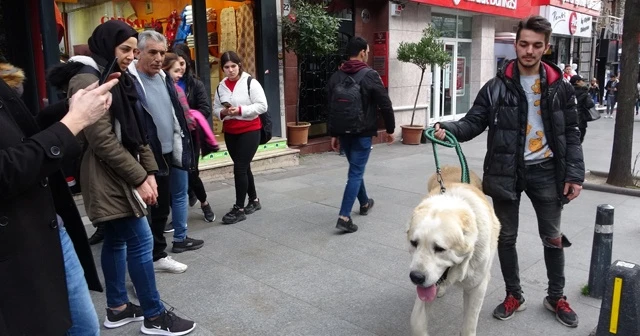 Türkiye’de daha büyüğü yok!