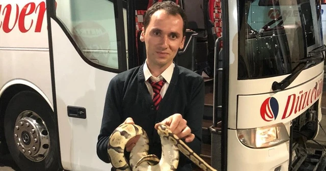 Yolcu otobüsünde valizden kaçan piton paniğe neden oldu