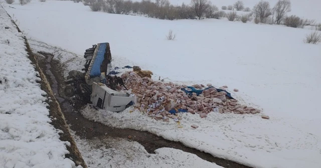 Yoldan çıkan tır 4 metreden aşağı düştü