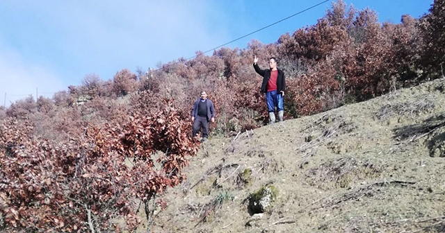 Zihinsel engelli yaşlı adam ormanda ölü bulundu