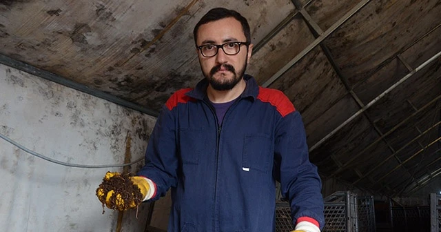 15 milyon solucan ile organik gübre üretiyor