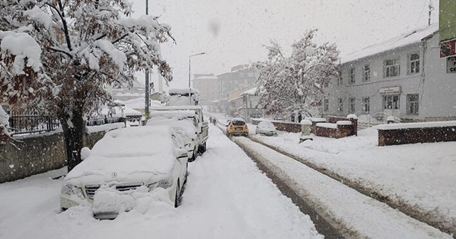 Baharı beklerken, yarım metre kar yağdı