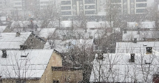 Bitlis’te lapa lapa kar yağdı