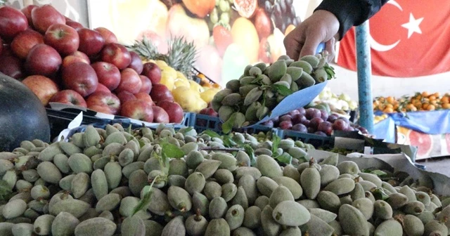 Çağla sezonu açıldı! Fiyatı cep yakıyor