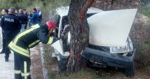 Denizli&#039;de otomobil ağaca çarptı : 1ölü, 1 yaralı