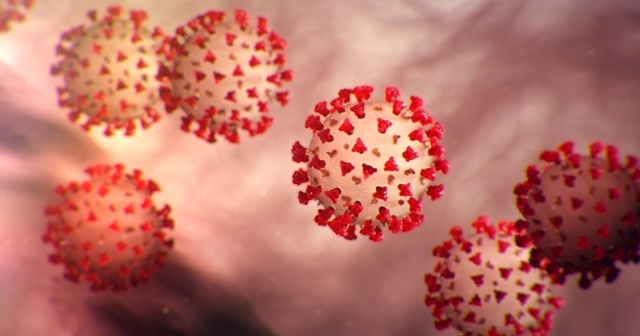 Dünya genelinde yeni tip koronavirüs vaka sayısı 500 bini aştı