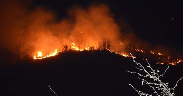 Giresun’da ormanlık alanda yangın