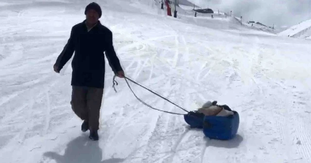 Hasta buzağıyı kızakla veterinere götürdü