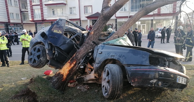 Refüje çıkan otomobil, ağacı yerinden söktü: 2 ölü, 1 ağır yaralı