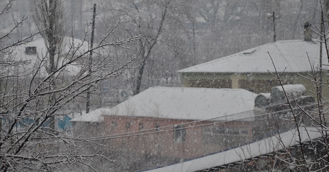 Şırnak’ta kar yağışı hayatı olumsuz etkiledi