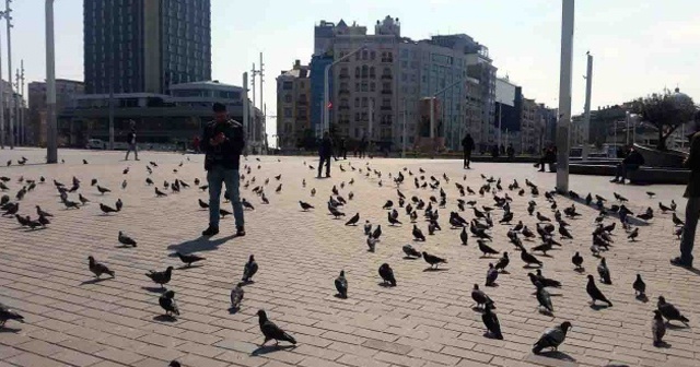 Taksim Meydanı güvercinlere kaldı