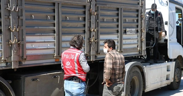 'Buğday taşıyorum' dedi, tırdan 'kaçak kömür' çıktı