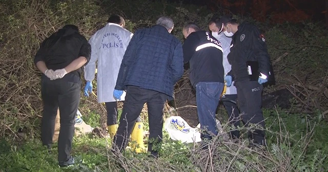 Boş arazide çok sayıda kemik ve kafatası bulundu