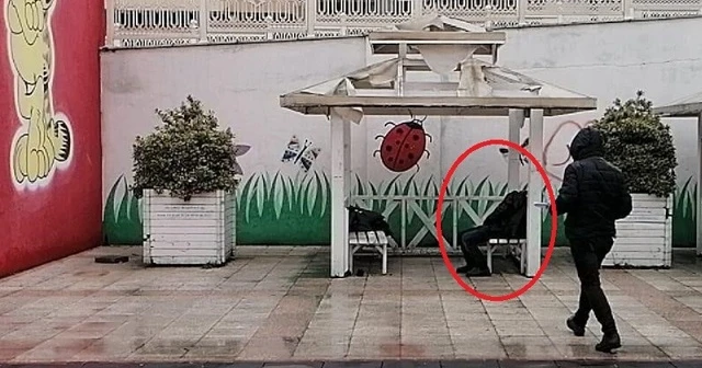 Çocuk parkındaki kamelyada ölü bulundu