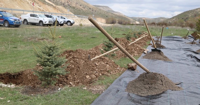 Doğan her bebek için bir fidan dikilecek