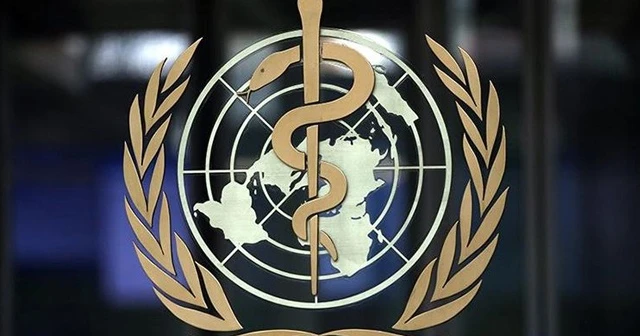 DSÖ: Afrika’daki sıtma nedenli ölümler iki katına çıkabilir