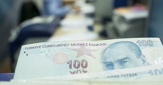 Hanelere 1000'er lira desteğin başvuru detayları belli oldu