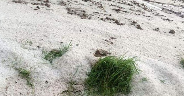 Hayrabolu&#039;da sağanak ve dolu tarım alanlarına zarar verdi