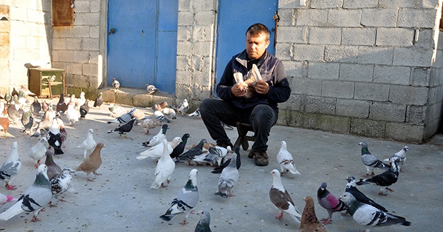 İki günlük sokağa çıkma yasağını güvercinlerinin arasında geçirdi