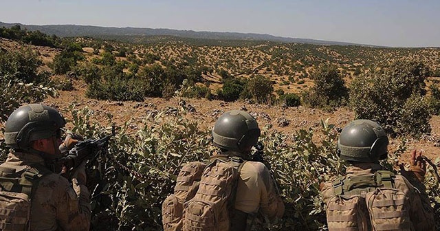 Jandarma ekiplerinin ikna ettiği PKK&#039;lı terörist teslim oldu