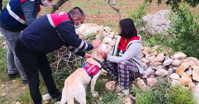 Kayıp kız çocuğu ormanlık alanda bulundu