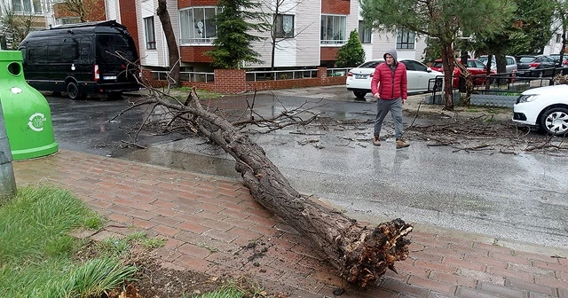 Kırklareli&#039;de şiddetli rüzgar hayatı olumsuz etkiledi