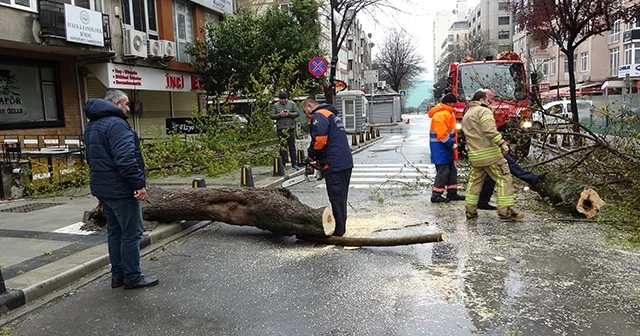 Mecidiyeköy’de fırtınanın etkisiyle devrilen ağaç yolu trafiğe kapattı