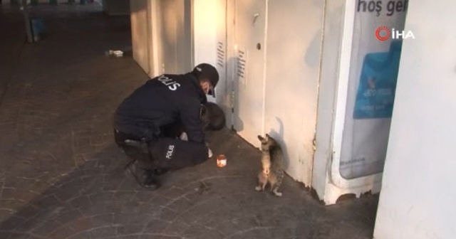 Polis memuru iftarlık yemeğini sokak kedileri ile paylaştı