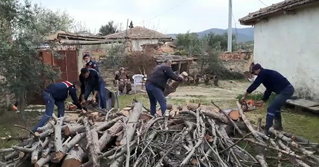 Şehit annesinin odunlarını jandarma kırdı