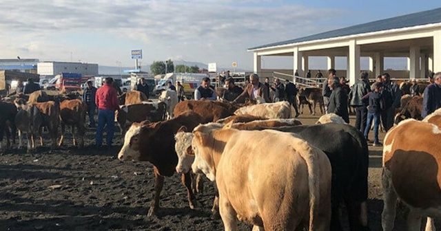 Sivas&#039;ta koronavirüs tedbirleri kapsamında hayvan pazarları kapatıldı