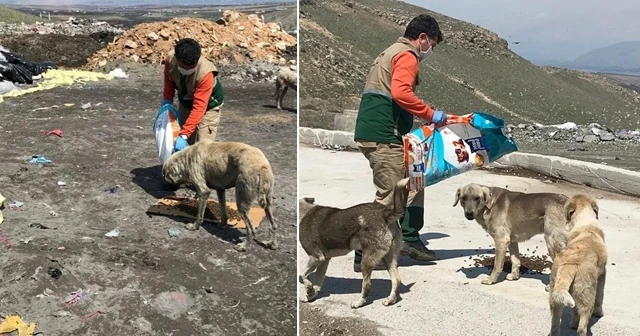 Sokak hayvanları unutulmuyor