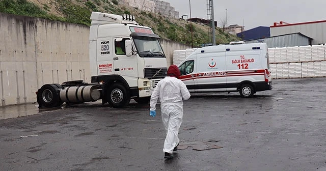Tır şoförü araç içinde ölü bulundu
