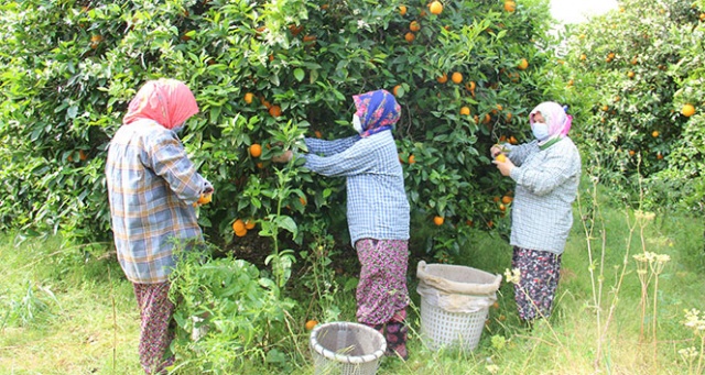 Türkiye ihracat şampiyonu Uçak, endişeleri giderdi