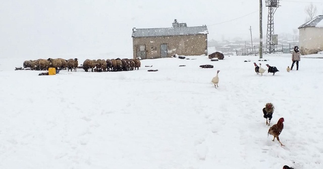 Van&#039;da Nisan ayında kar sürprizi