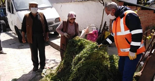 Vatandaş evden çıkamayınca, ineklerin otunu zabıta biçip getirdi