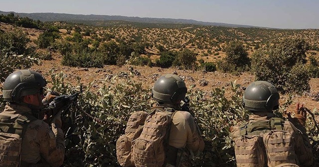 Yaklaşık 13 yıldır dağda bulunan terörist teslim oldu