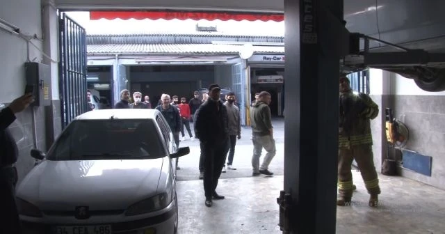 'Yılan merakı', korona virüs korkusunun önüne geçti